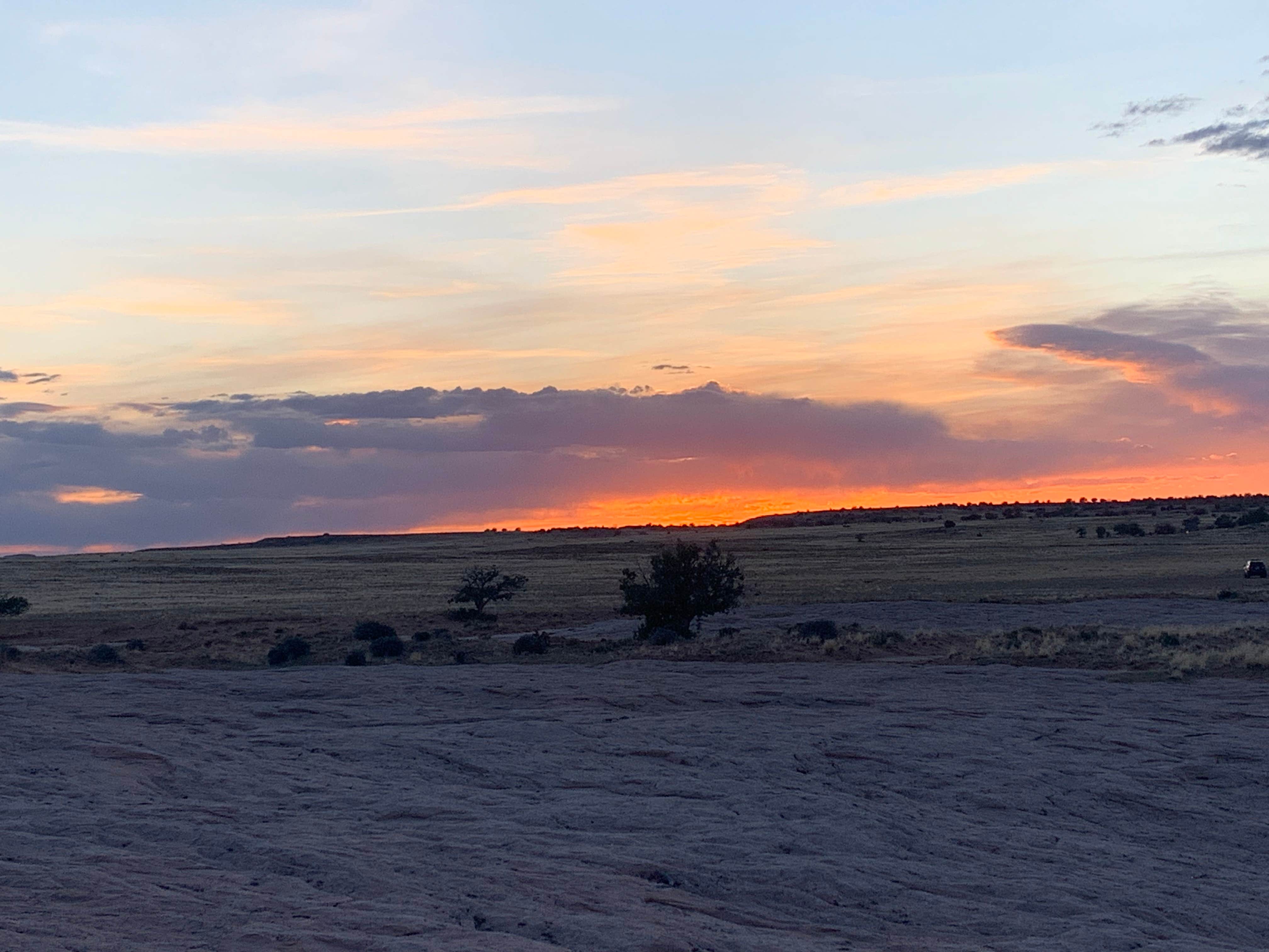 Camping near Moonshine Wash TH: BLM Bartlett Wash Dispersed Camping, Moab, Utah