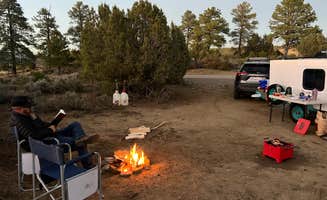 Amanda W.'s photo at Bayfield/Durango Dispersed Camping near Durango, CO