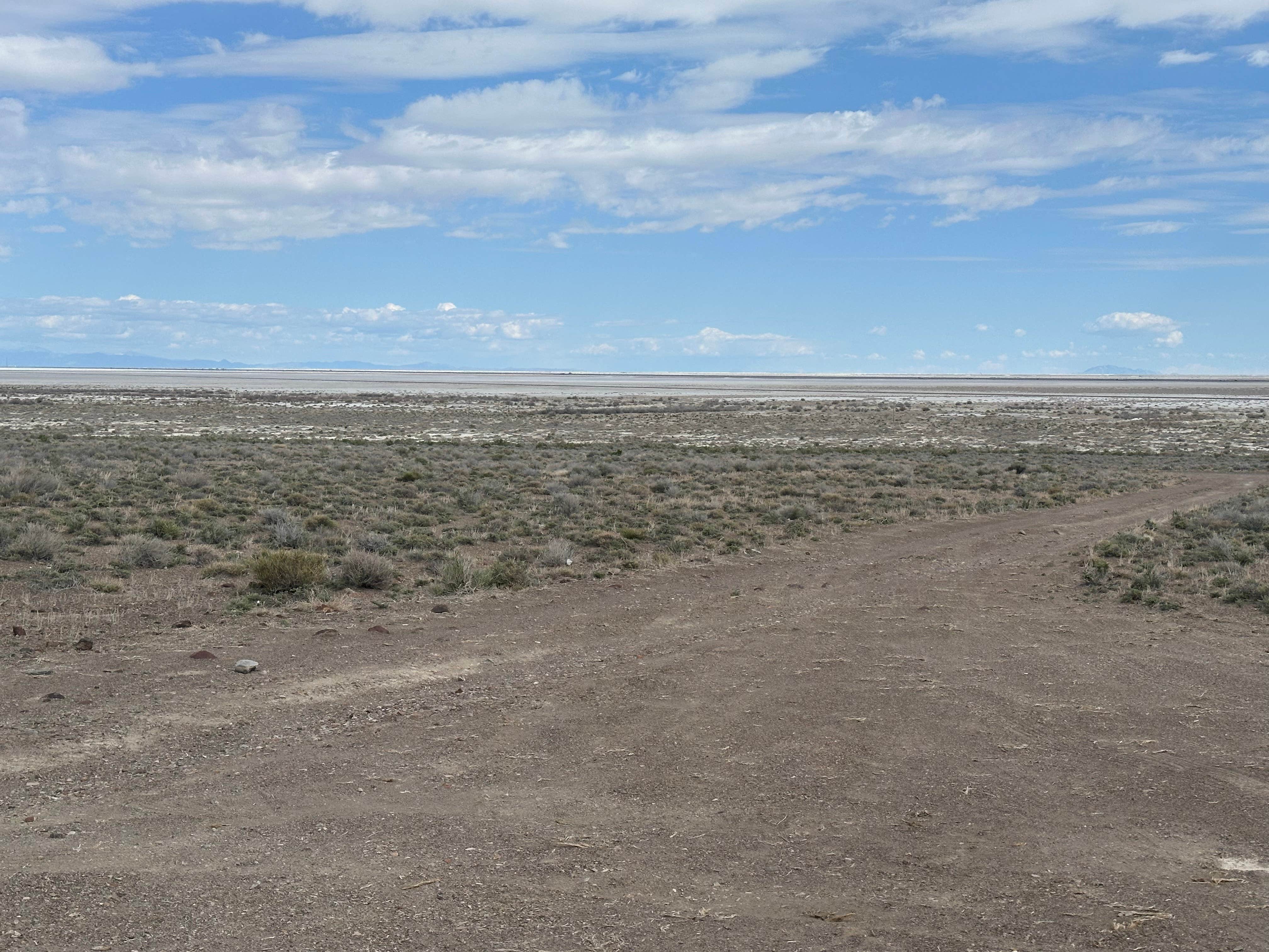 Michi P.'s photo of a dispersed camping area at BLM Site next to Salt Flats near West Wendover, NV