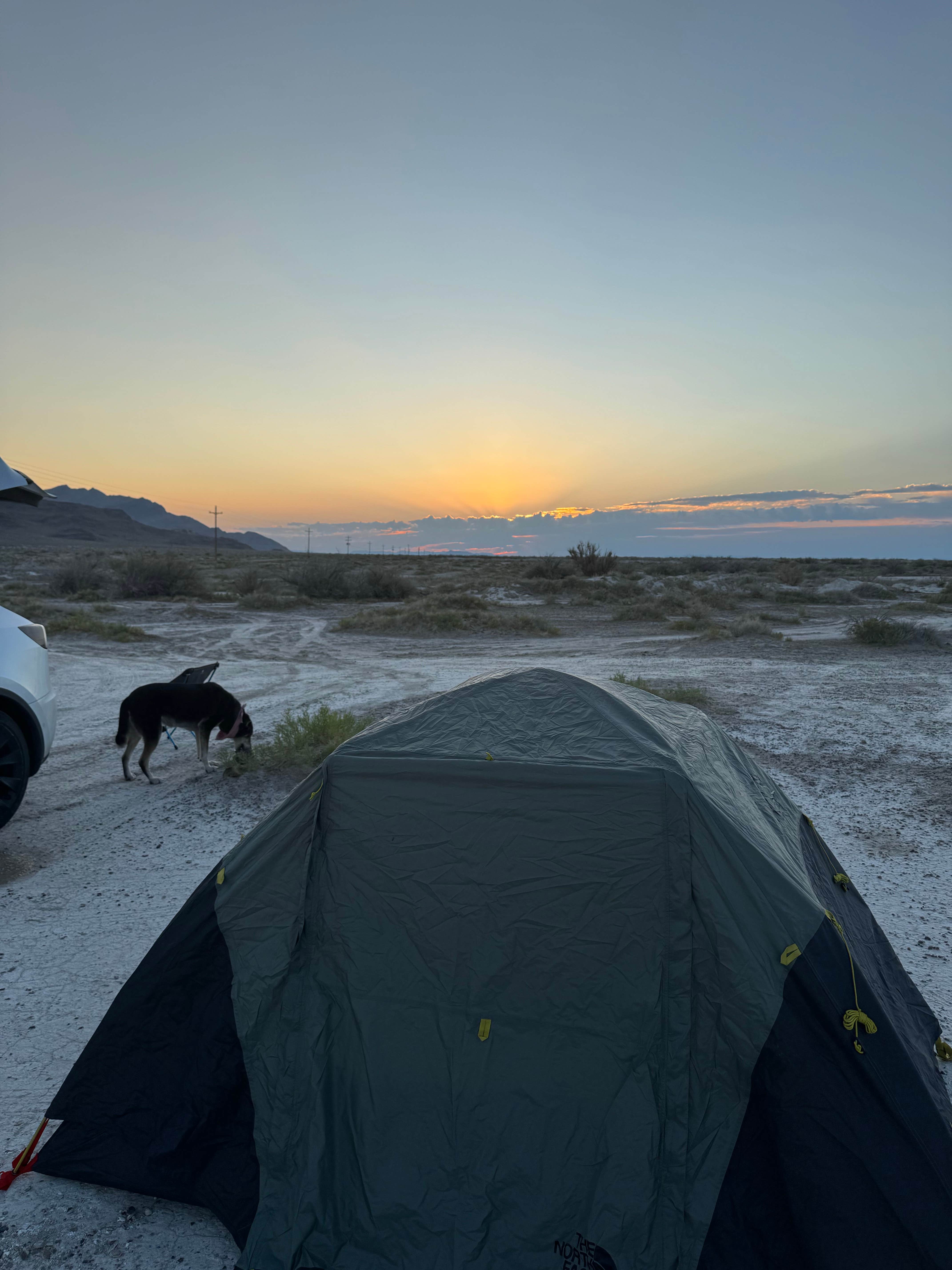 Michael R.'s photo of a dispersed camping area at BLM Site next to Salt Flats near West Wendover, NV