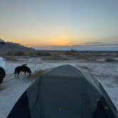 Review photo of BLM Site next to Salt Flats by Michael R., July 19, 2025