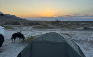 Michael R.'s photo of camping with pets at BLM Site next to Salt Flats near West Wendover, NV