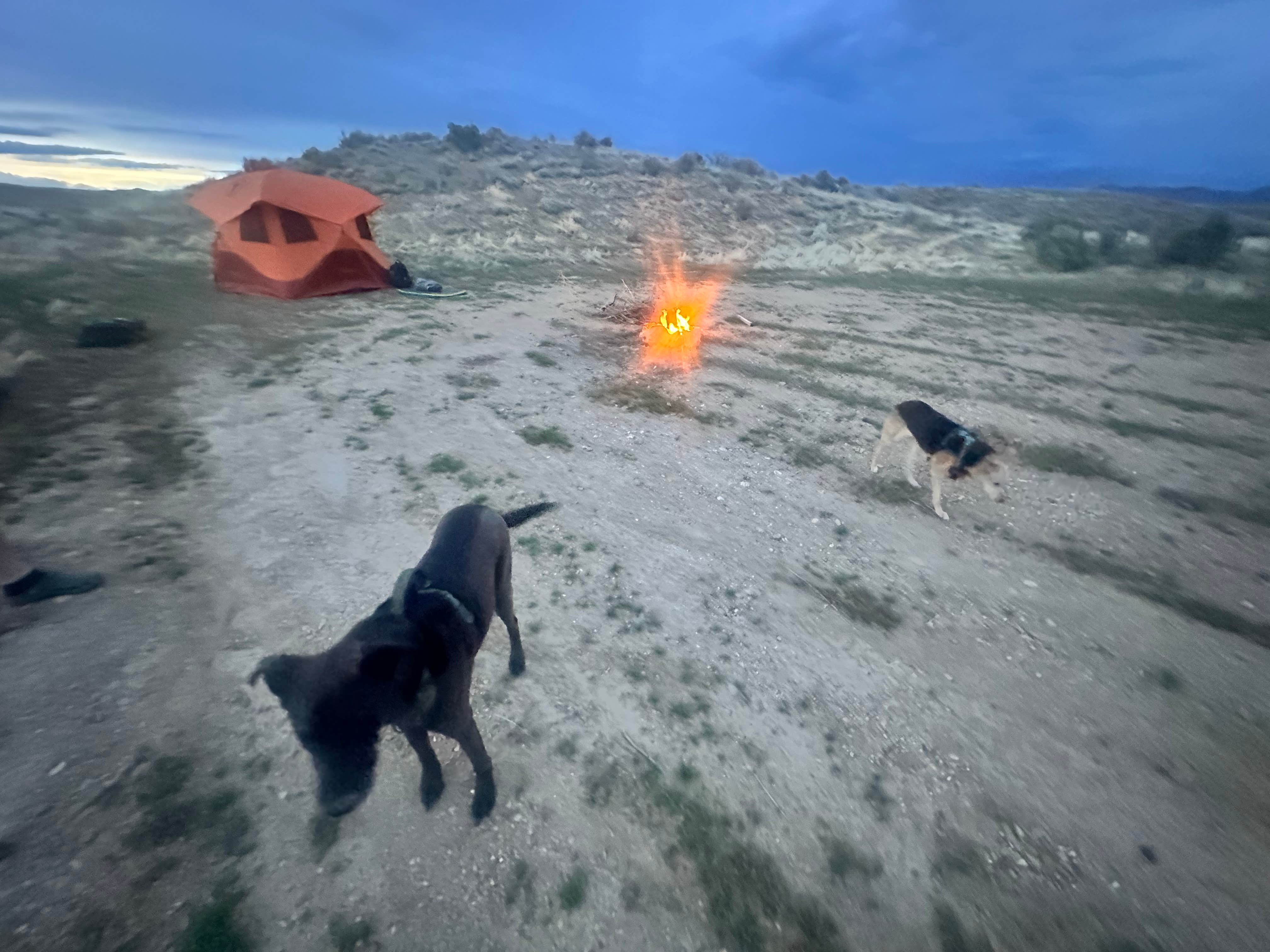 Camper-submitted photo at BLM Camping off 139 near Fruita, CO