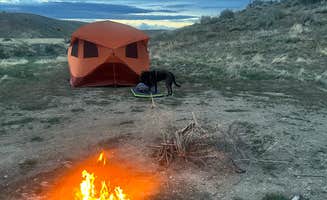 William C.'s photo of camping with pets at BLM Camping off 139 near Fruita, CO