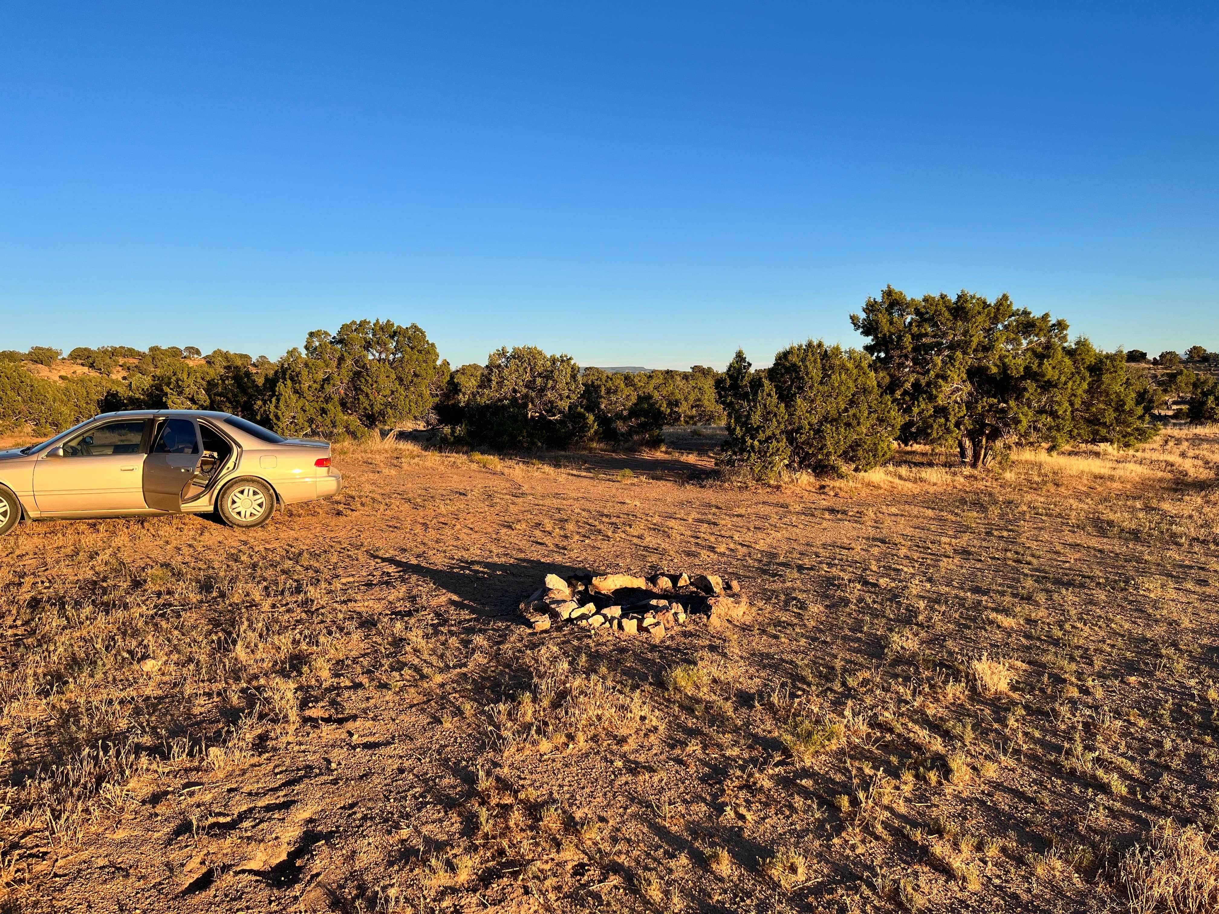 Camper submitted image from BLM Dispersed Camping Near BLM 217 - 2