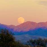 Review photo of Cieneguita Dispersed Camping Area - Las Cienegas National Conservation Area by Christie S., December 8, 2025