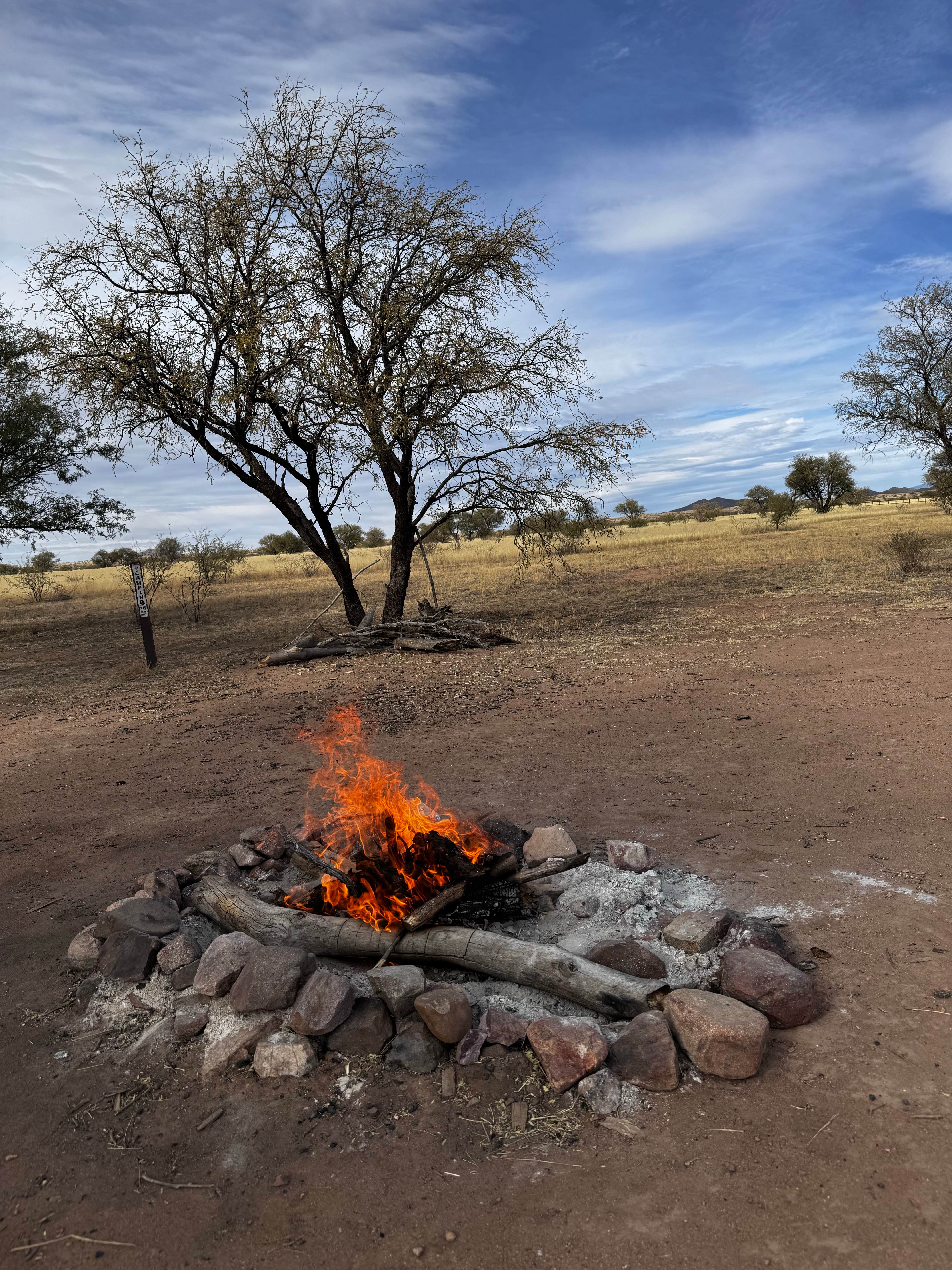 Camper-submitted photo at Cieneguita Dispersed Camping Area - Las Cienegas National Conservation Area near Tucson, AZ