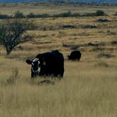 Review photo of Cieneguita Dispersed Camping Area - Las Cienegas National Conservation Area by Christie S., December 8, 2025