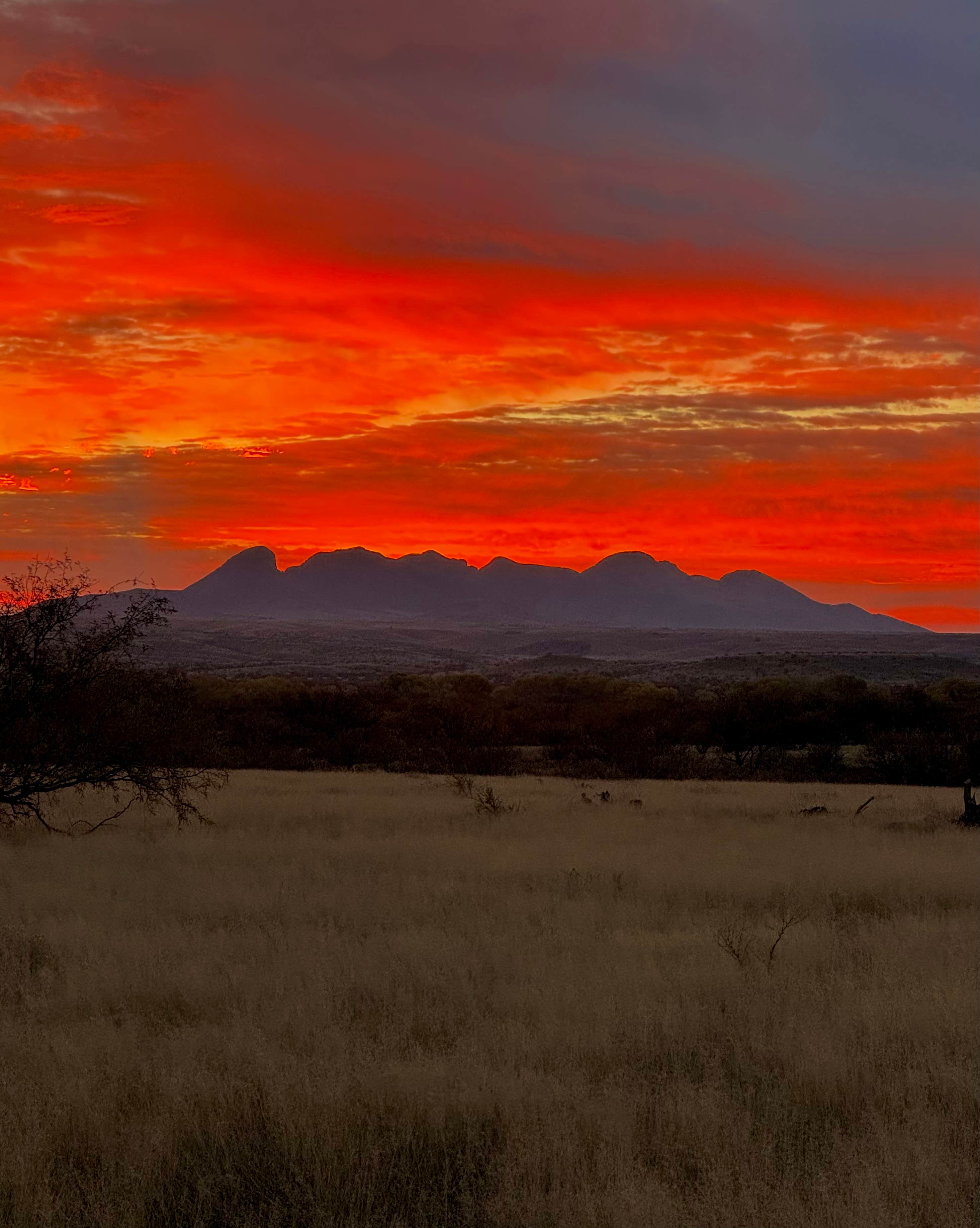 Christie S.'s photo of a dispersed camping area at Cieneguita Dispersed Camping Area - Las Cienegas National Conservation Area near Vail, AZ