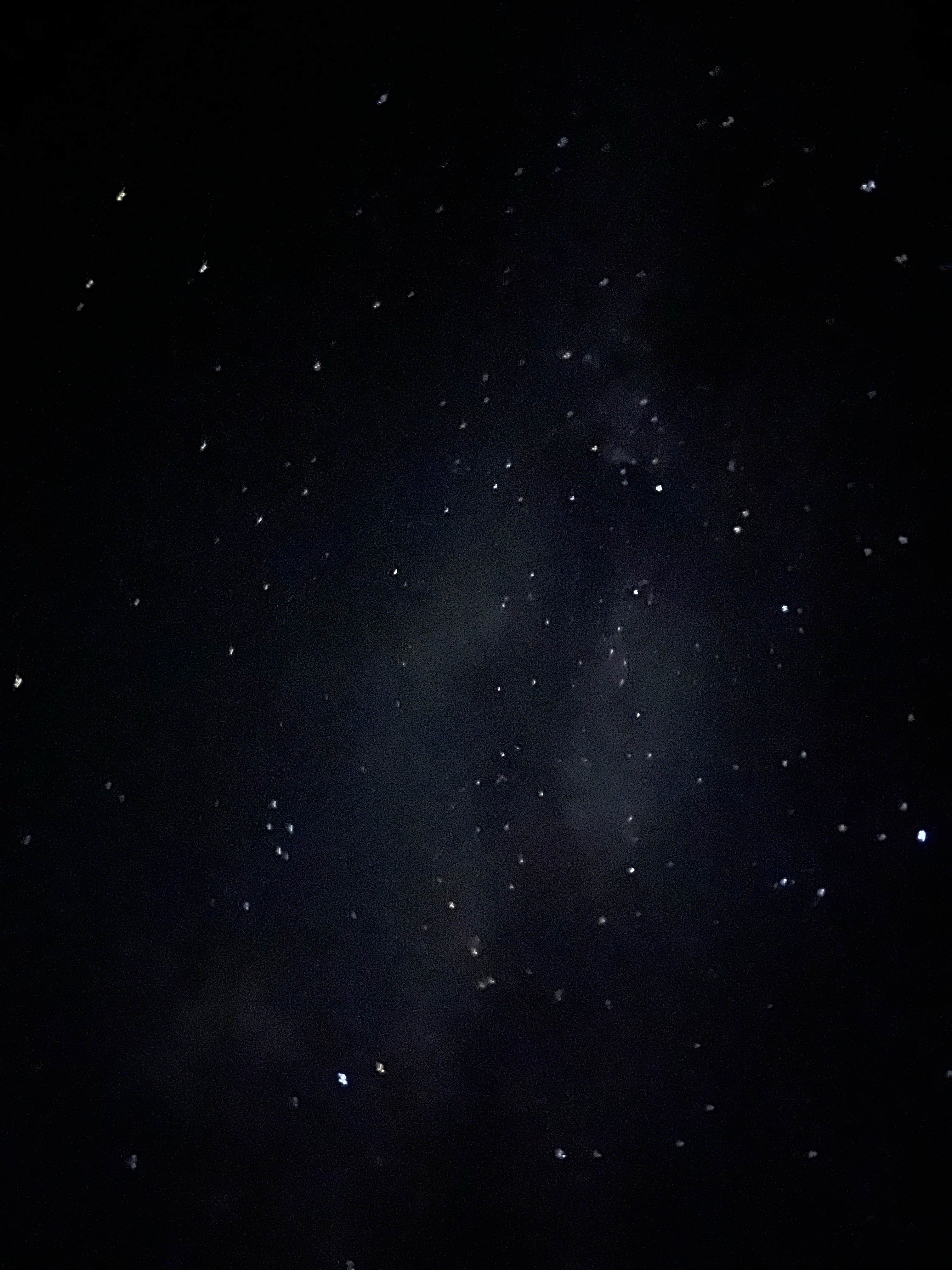 Camper-submitted photo at BLM CO 1597 - Dispersed near Craig, CO