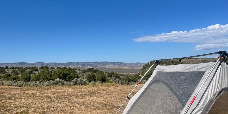 Camper submitted image from BLM CO 1597 - Dispersed