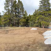 Review photo of Delmonica Gultch BLM Dispersed by Francois T., May 20, 2025