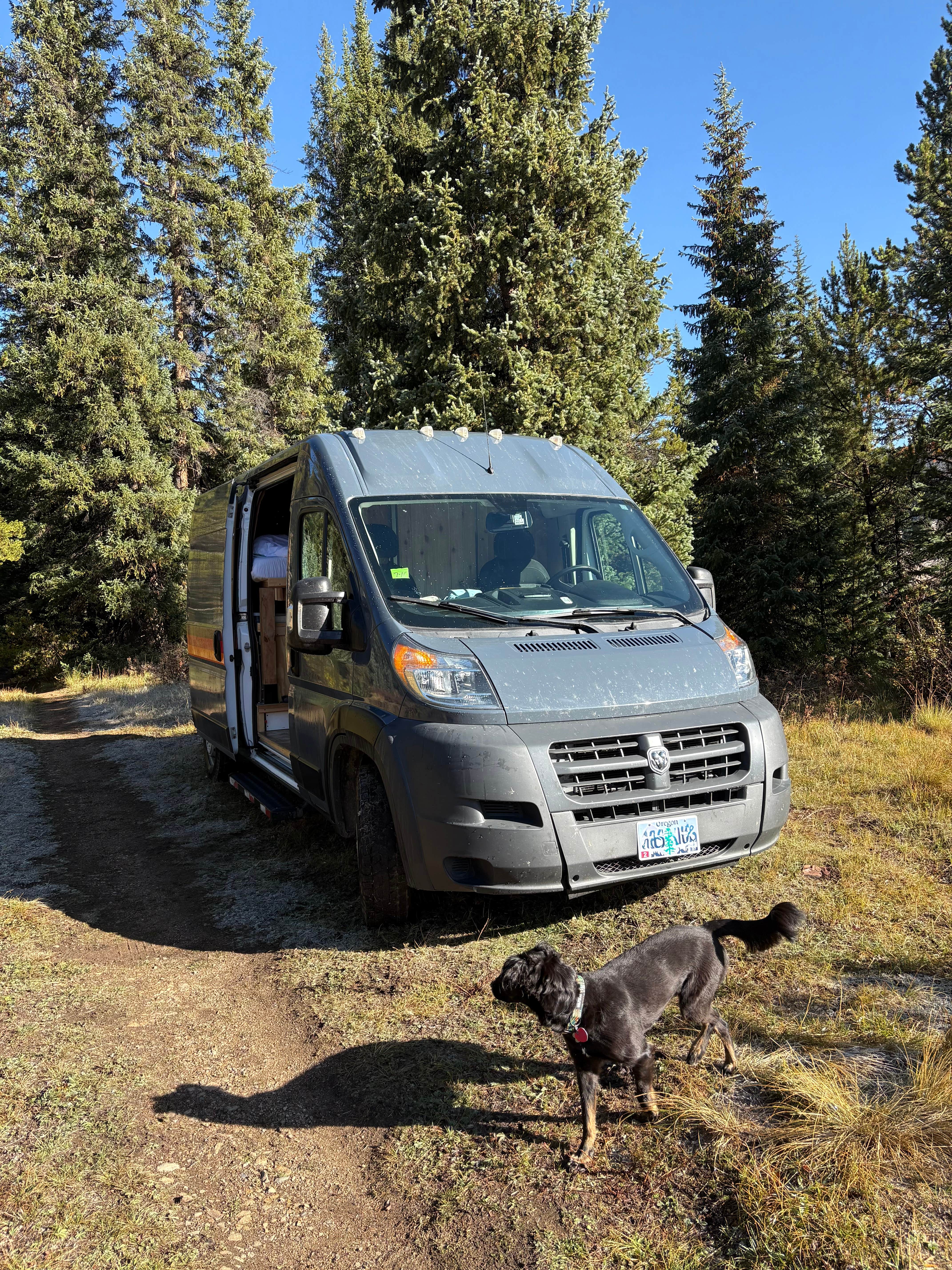 Camper-submitted photo at Delmonica Gultch BLM Dispersed near Climax, CO