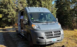 Lauren M.'s photo of camping with pets at Delmonica Gultch BLM Dispersed near Climax, CO