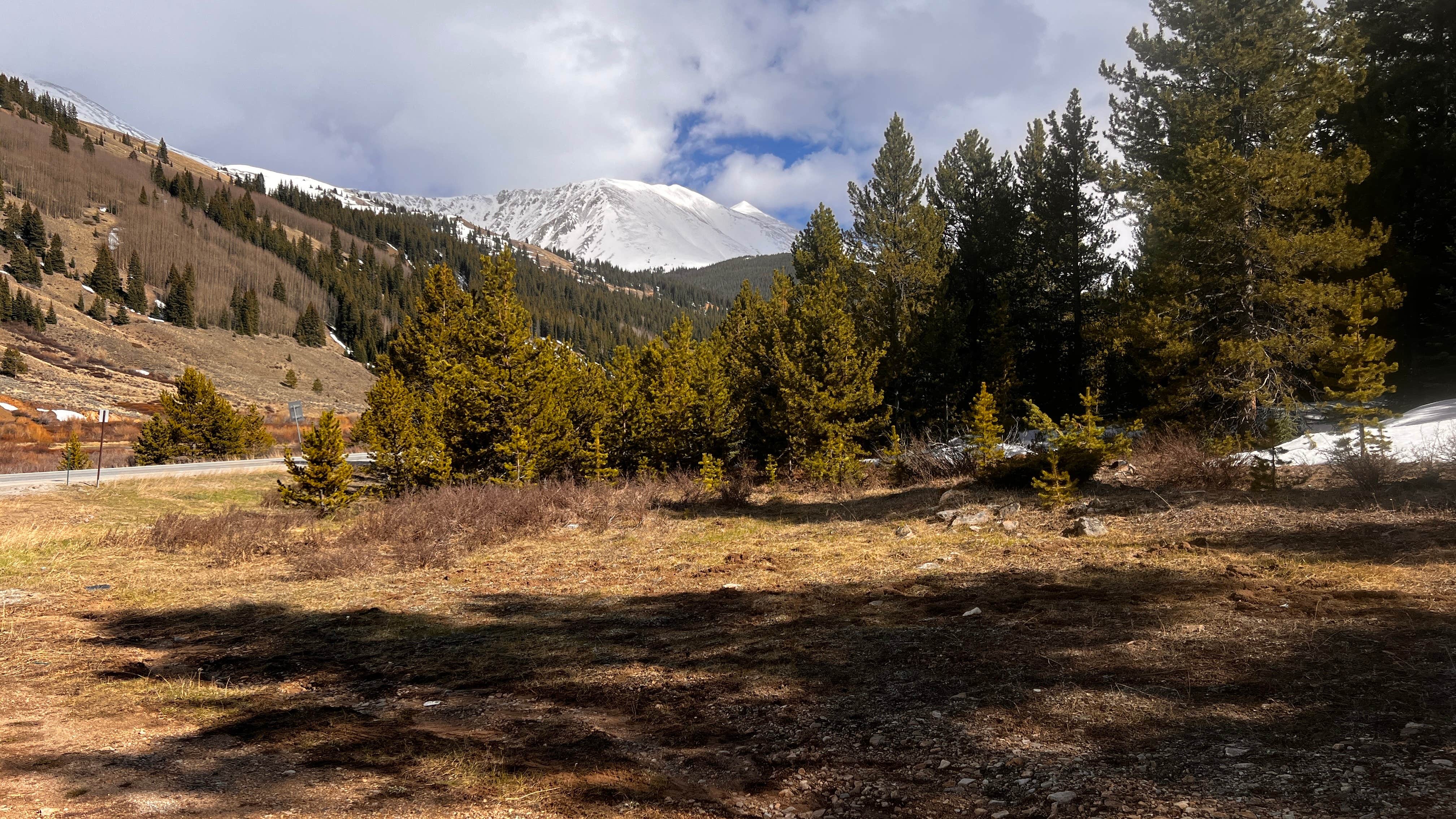Camper-submitted photo at Delmonica Gultch BLM Dispersed near Climax, CO