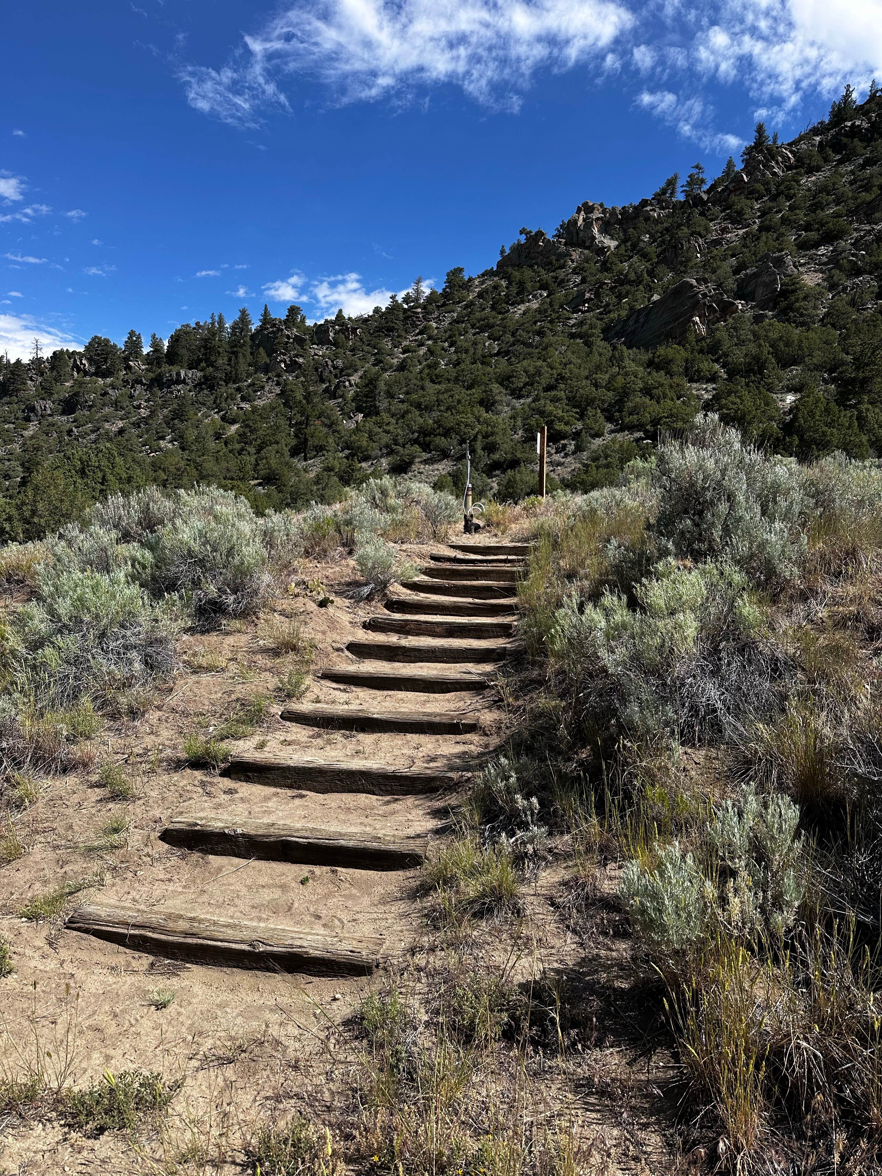 Camping near South Brush Creek Campground (Wy) — Medicine Bow Routt N Fs & Thunder Basin Ng: BLM Corral Creek Recreation Site, Encampment, Wyoming