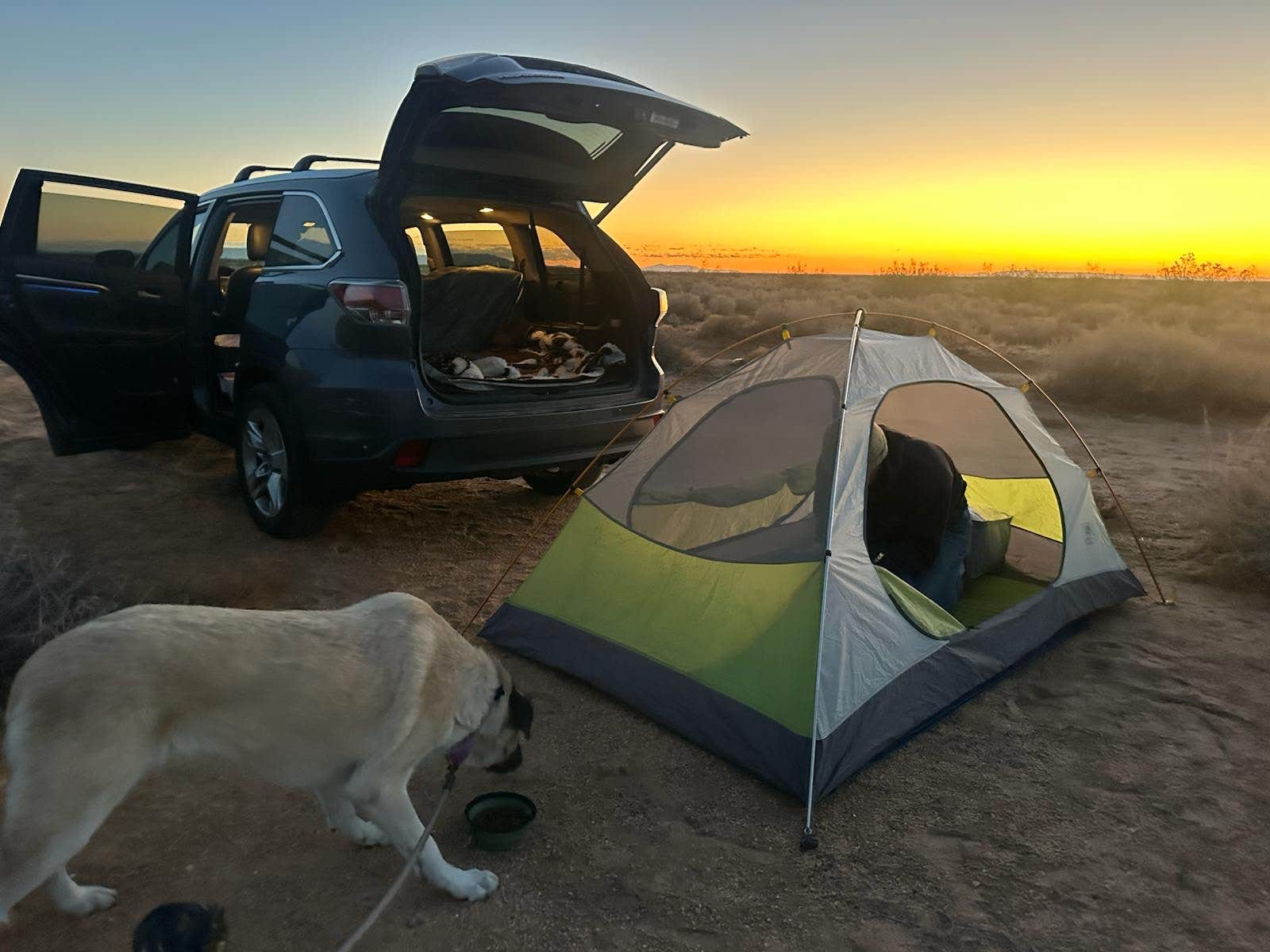 Camper submitted image from BLM Desert Site - 1