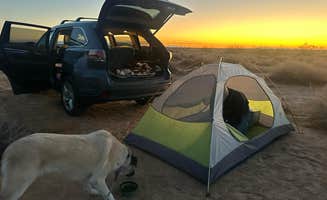 Maise T.'s photo at BLM Desert Site near Randsburg, CA