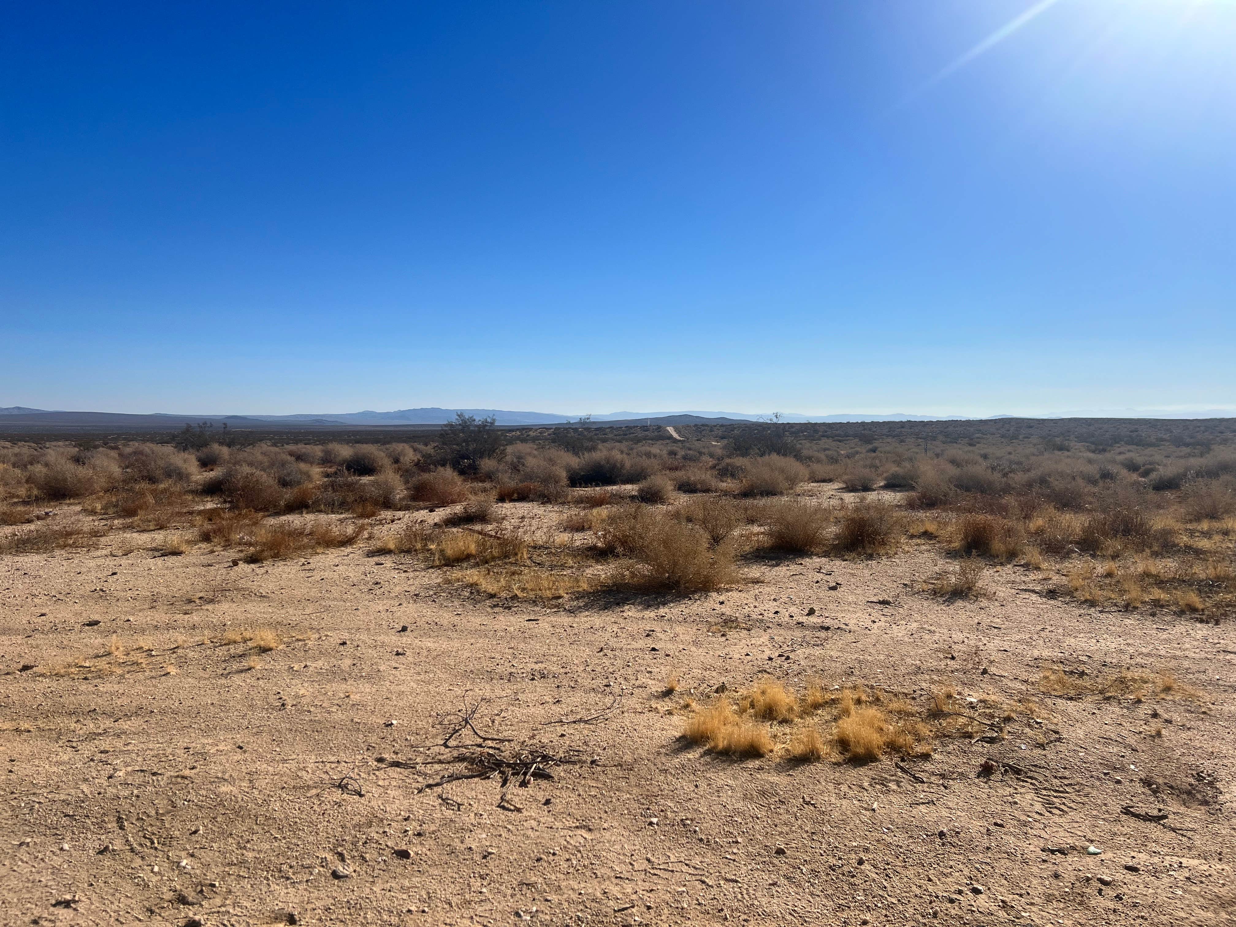 Camper submitted image from BLM desert site - 1