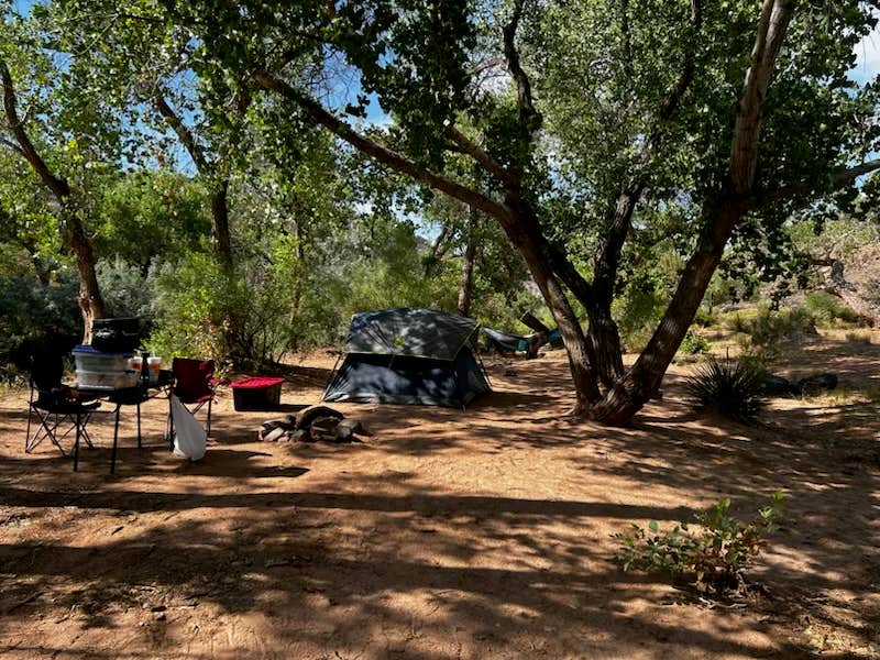 Virginia G.'s photo at BLM Dispersed N Kolob Terrace Road near Rockville, UT
