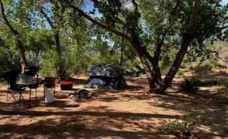 Virginia G.'s photo at BLM Dispersed N Kolob Terrace Road near Springdale, UT