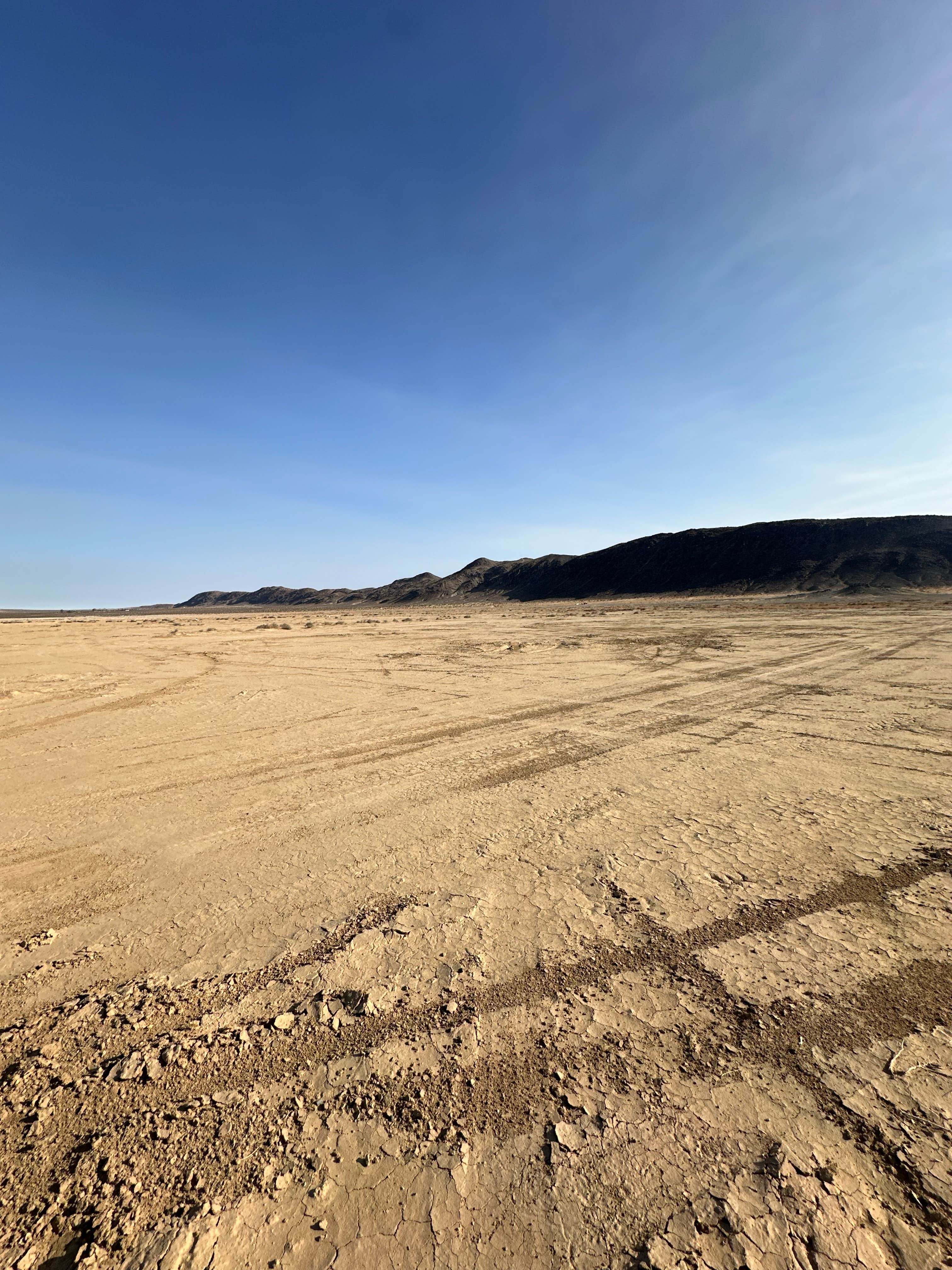 Camper-submitted photo at BLM Dispersed Camping at Joshua Tree near Twentynine Palms, CA