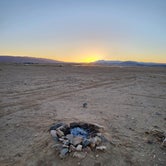 Review photo of BLM Dispersed Camping at Joshua Tree by Pavla L., October 16, 2023