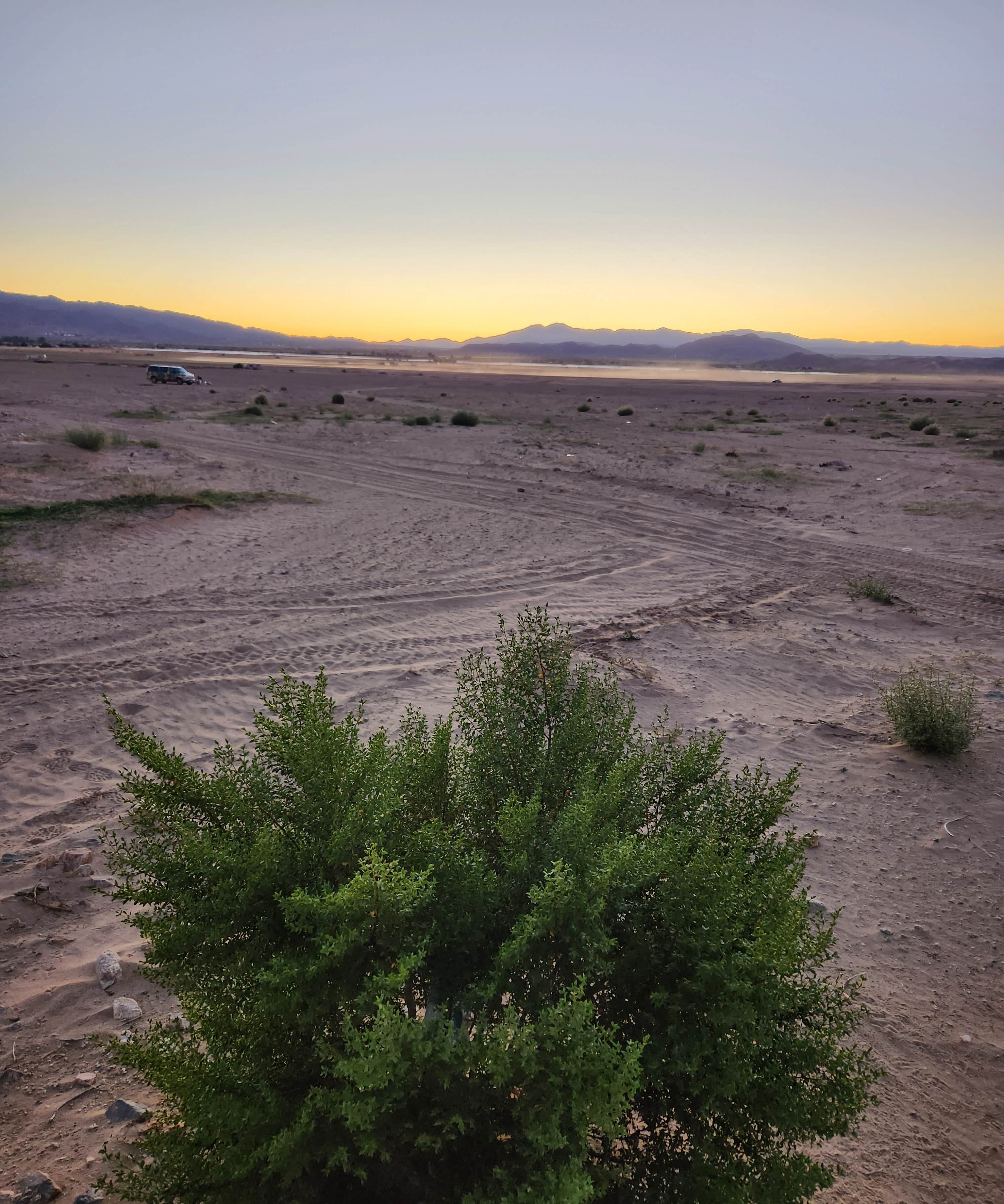 Camper-submitted photo at BLM Dispersed Camping at Joshua Tree near Landers, CA