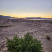 Review photo of BLM Dispersed Camping at Joshua Tree by Pavla L., October 16, 2023