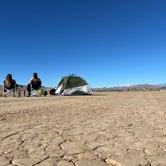 Review photo of BLM Dispersed Camping at Joshua Tree by Jess L., March 7, 2024