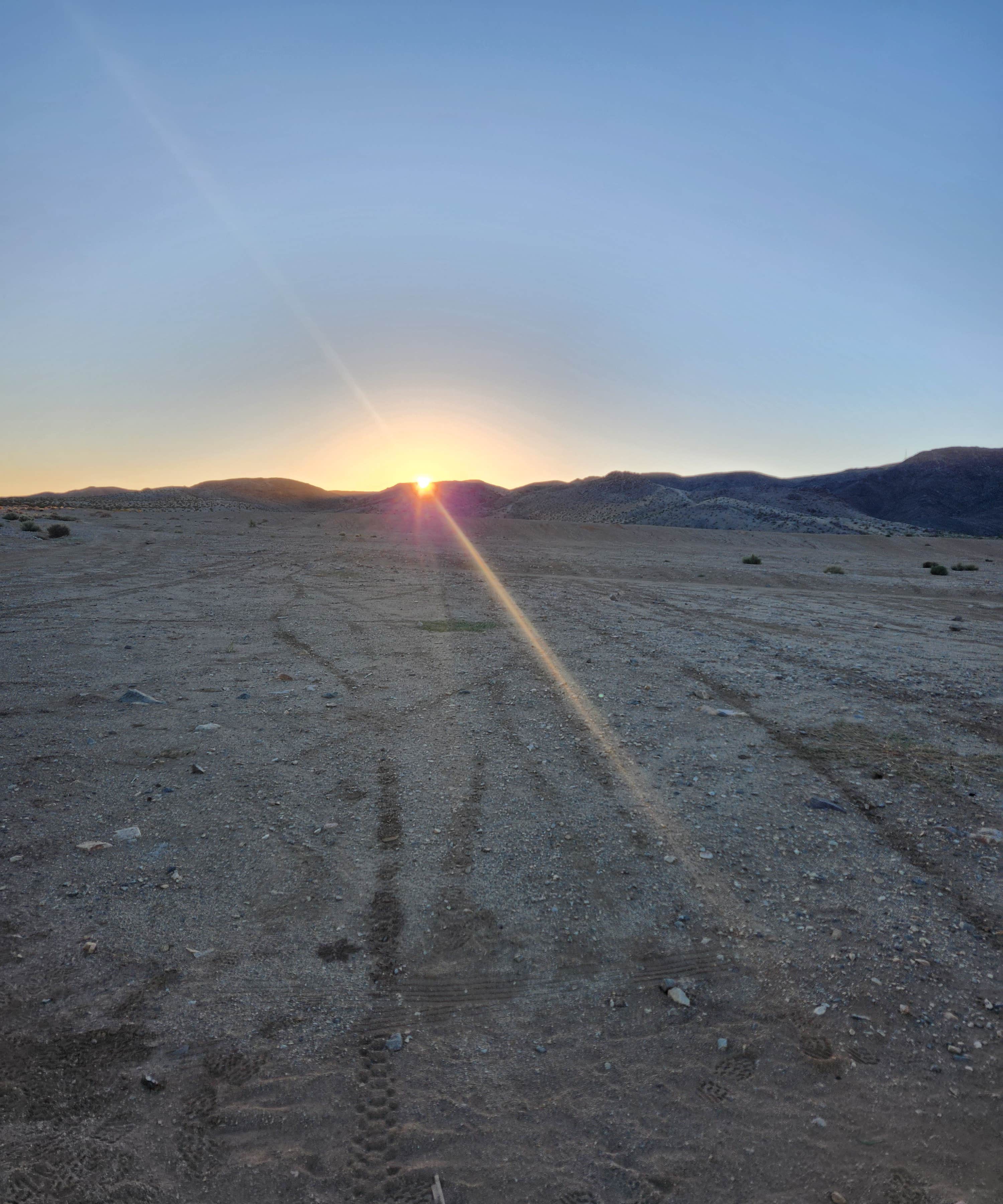 Camper-submitted photo at BLM Dispersed Camping at Joshua Tree near Twentynine Palms, CA