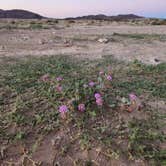 Review photo of BLM Dispersed Camping at Joshua Tree by Pavla L., October 16, 2023