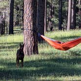 Review photo of Lake Mary Road - National Forest Dispersed Camping by Cort N., June 10, 2026