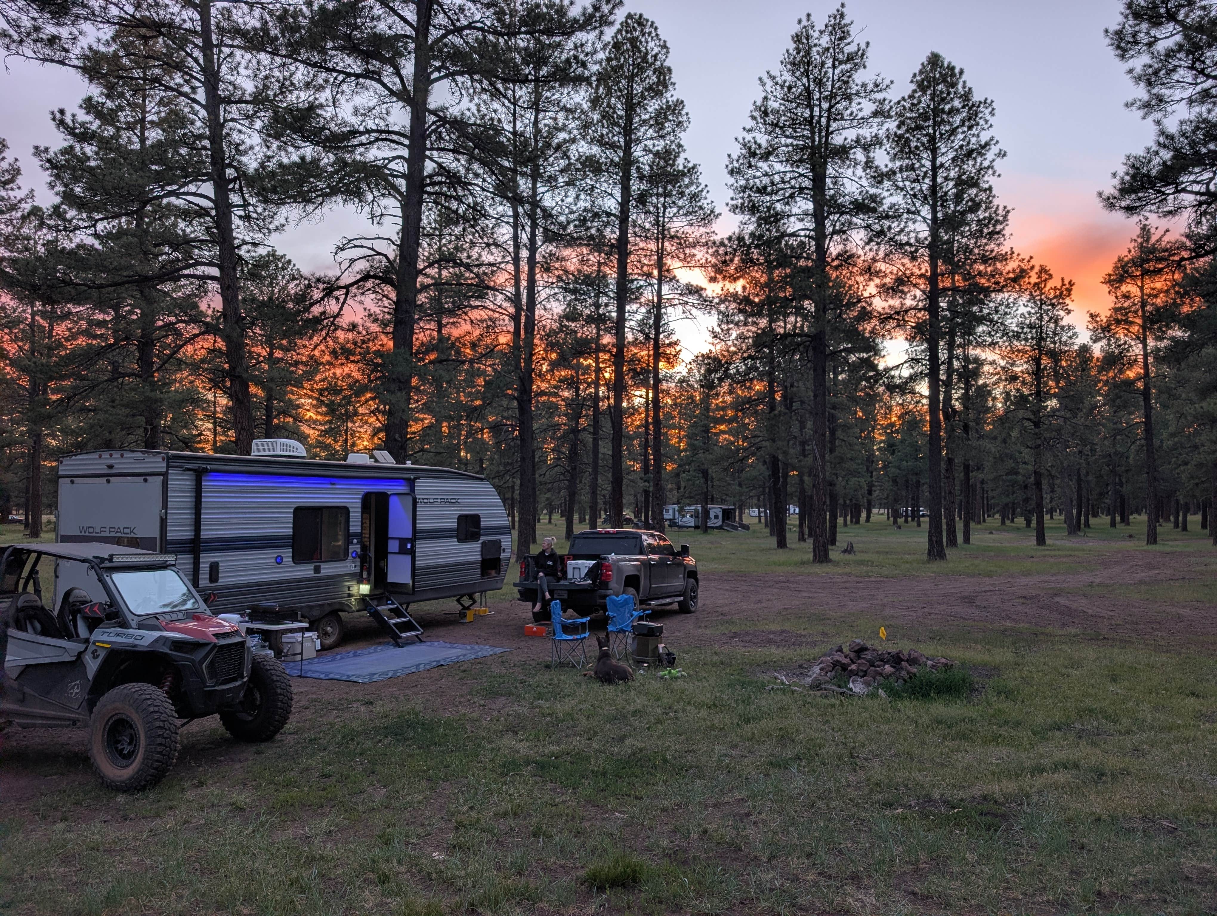 Cort N.'s photo of camping with pets at Lake Mary Road - National Forest Dispersed Camping near Coconino National Forest