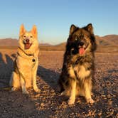 Review photo of BLM Dispersed camping along B059 New Mexico by Sierra Y., December 16, 2025