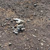 Review photo of BLM Dispersed camping along B059 New Mexico by Sierra Y., December 16, 2025