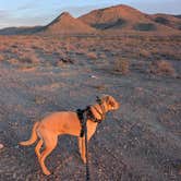 Review photo of BLM Dispersed camping along B059 New Mexico by Rick M., January 1, 2025