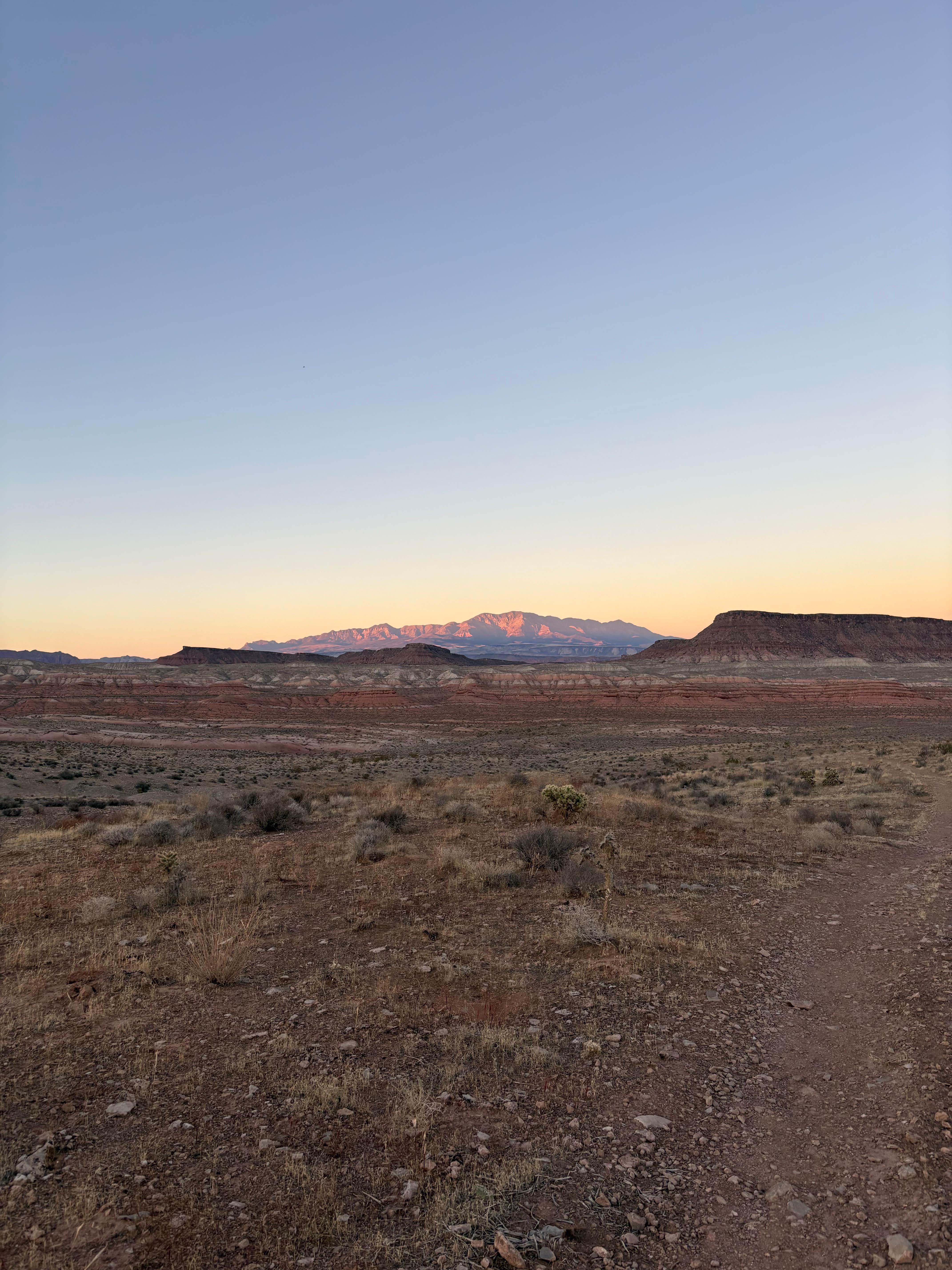 Camper-submitted photo at BLM Navajo Rd Dispersed near Littlefield, AZ