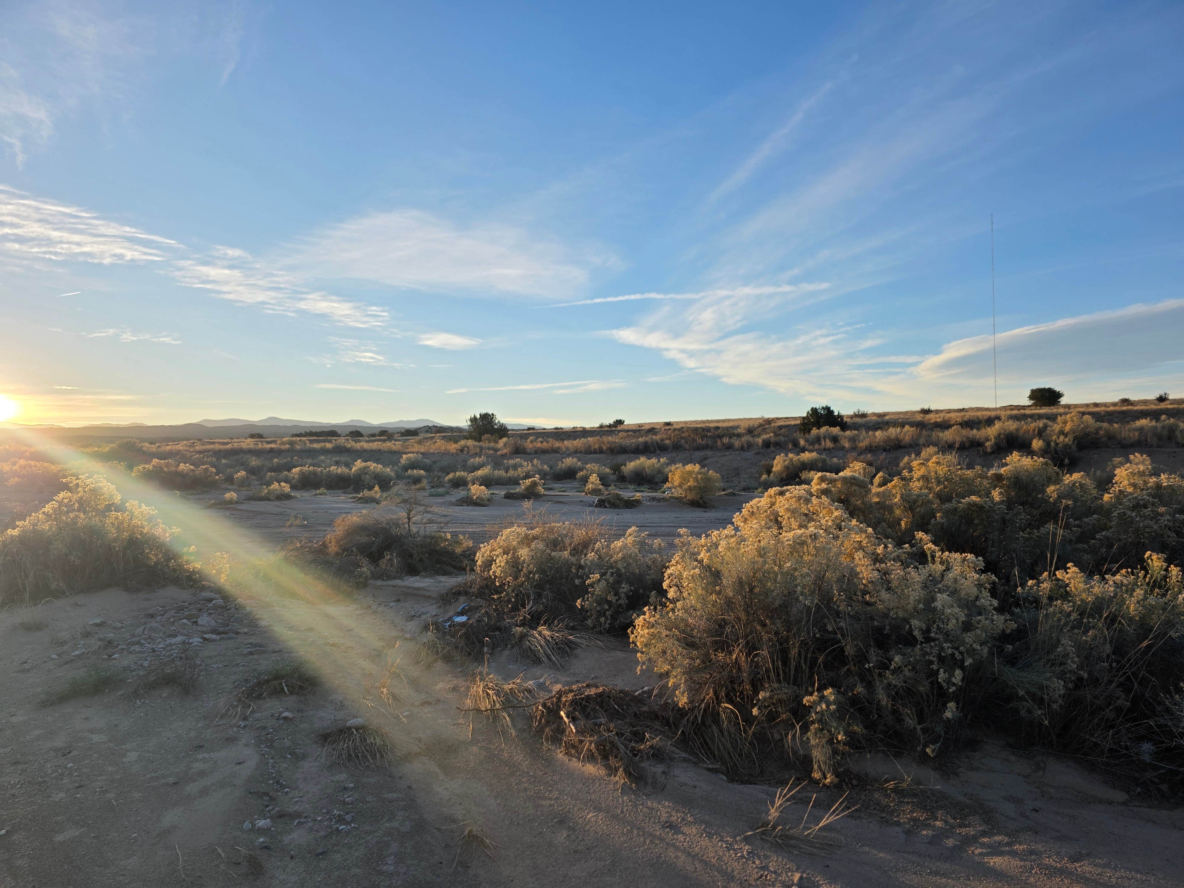 Camper-submitted photo at BLM dispersed near Alcalde NM near Embudo, NM