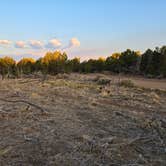 Review photo of BLM DISPERSED by Jerry F., June 30, 2026