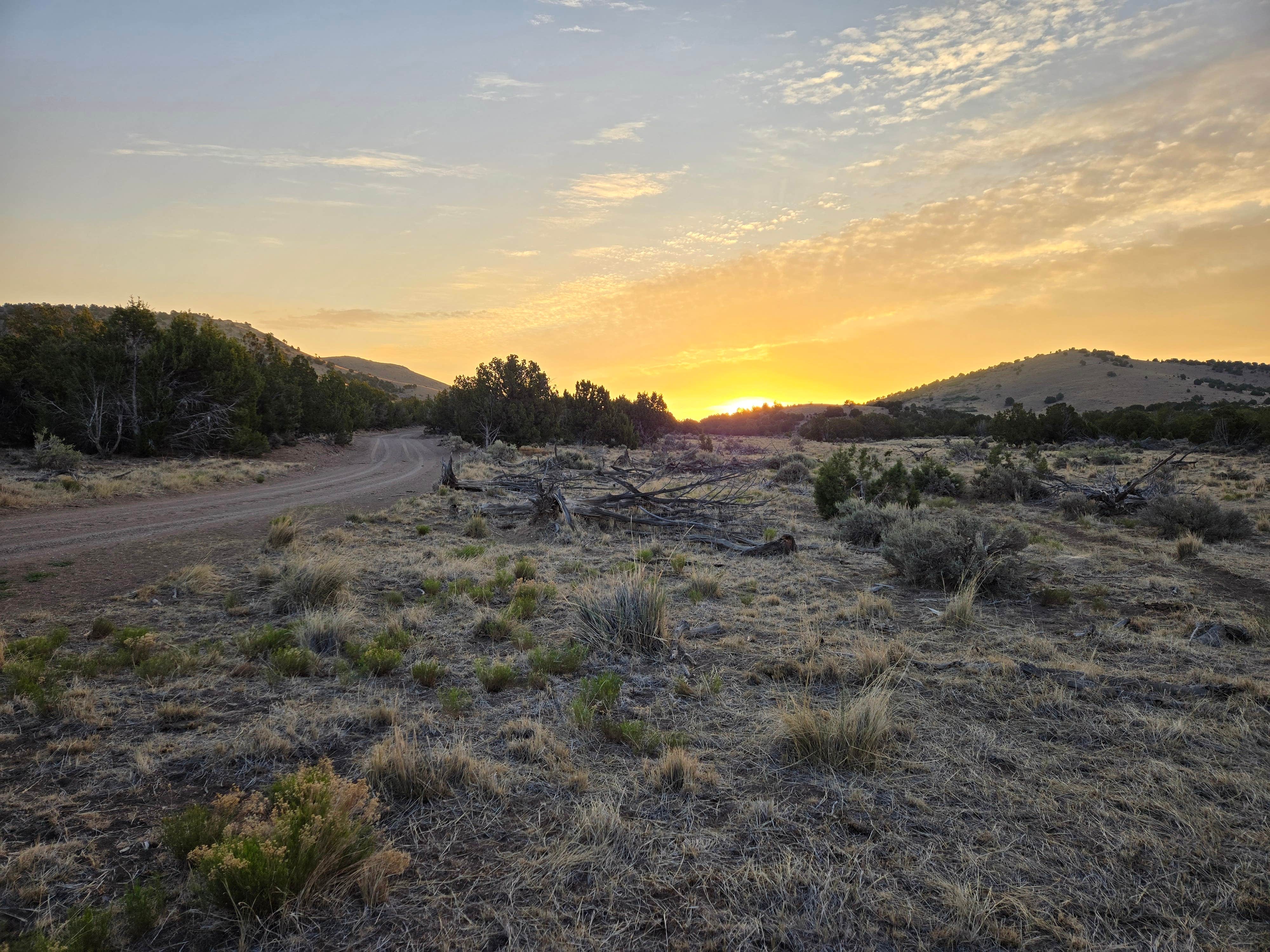 Camper-submitted photo at BLM DISPERSED near Cove, UT