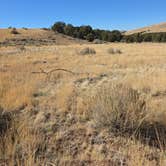 Review photo of BLM DISPERSED by Julie H., November 3, 2025