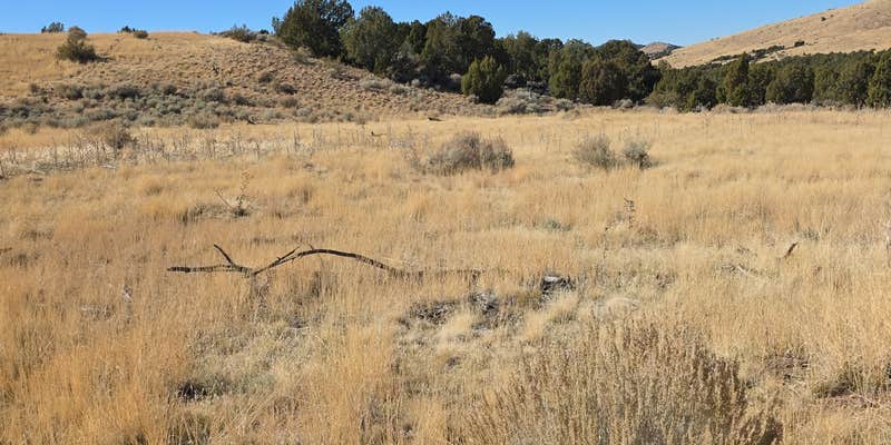 Camper submitted image from BLM DISPERSED