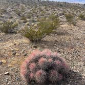 Review photo of Wheeler Pass Road Dispersed by Sarah M., December 15, 2023