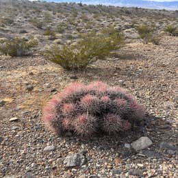 Wheeler Pass Road Dispersed