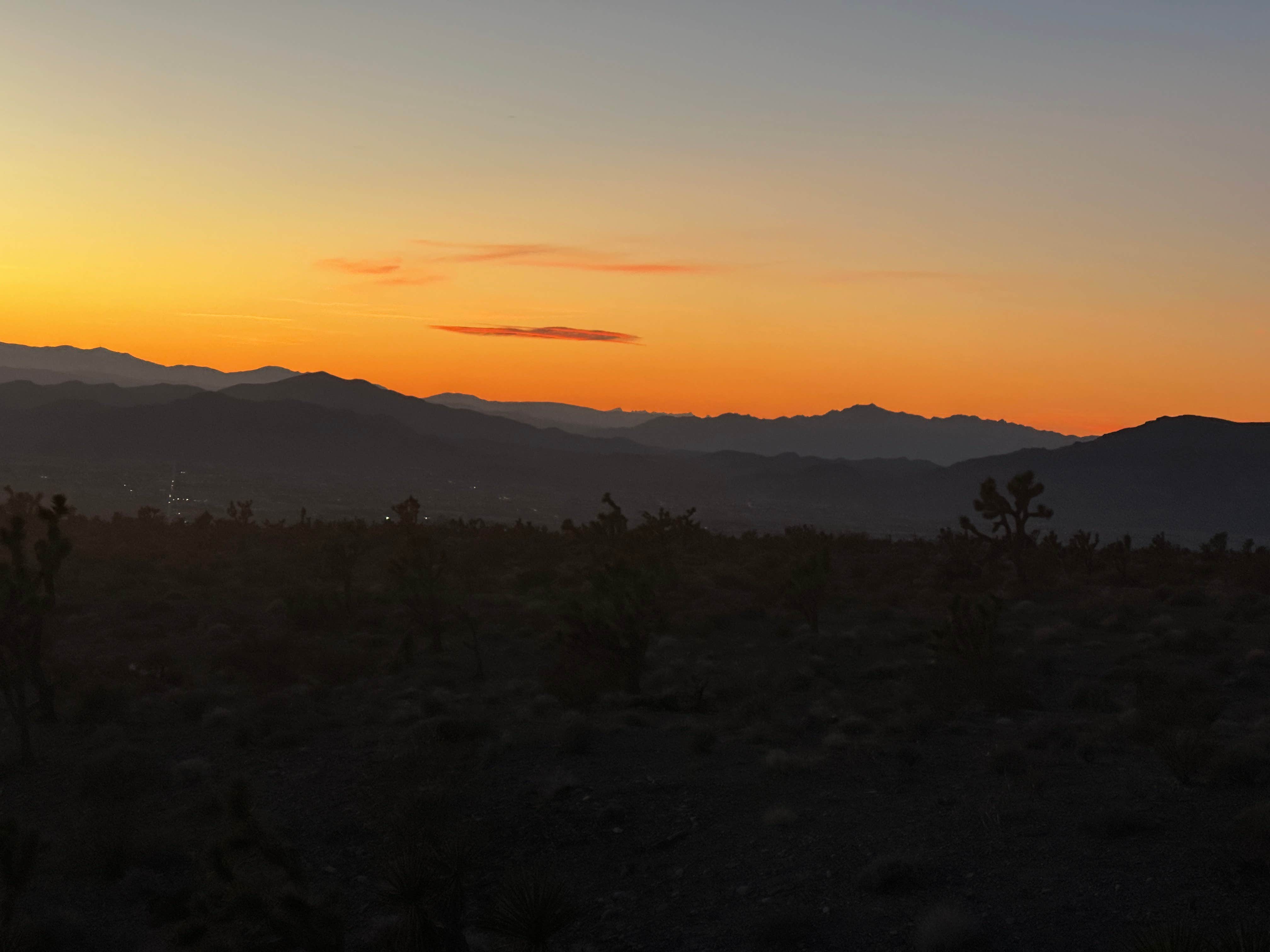 Camper-submitted photo at Wheeler Pass Road Dispersed near Mount Charleston, NV
