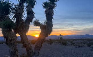 Sarah M.'s photo of a dispersed camping area at Wheeler Pass Road Dispersed near Amargosa Valley, NV