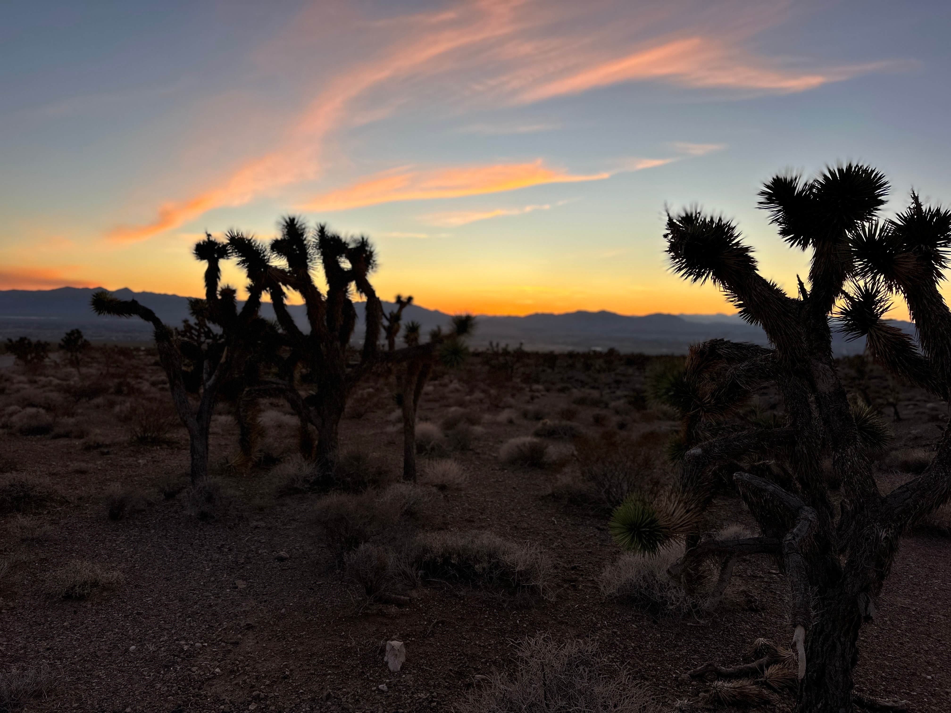 Camping near Mesquite Rd BLM Dispersed: Wheeler Pass Road Dispersed, Pahrump, Nevada