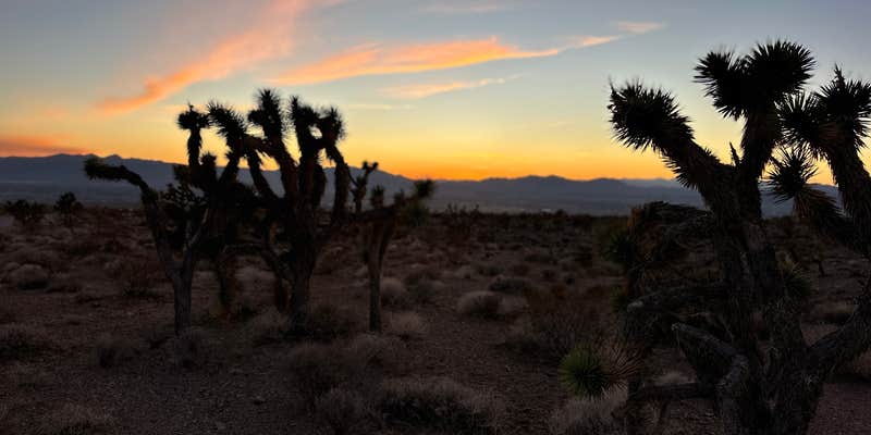 Camper submitted image from Wheeler Pass Road Dispersed