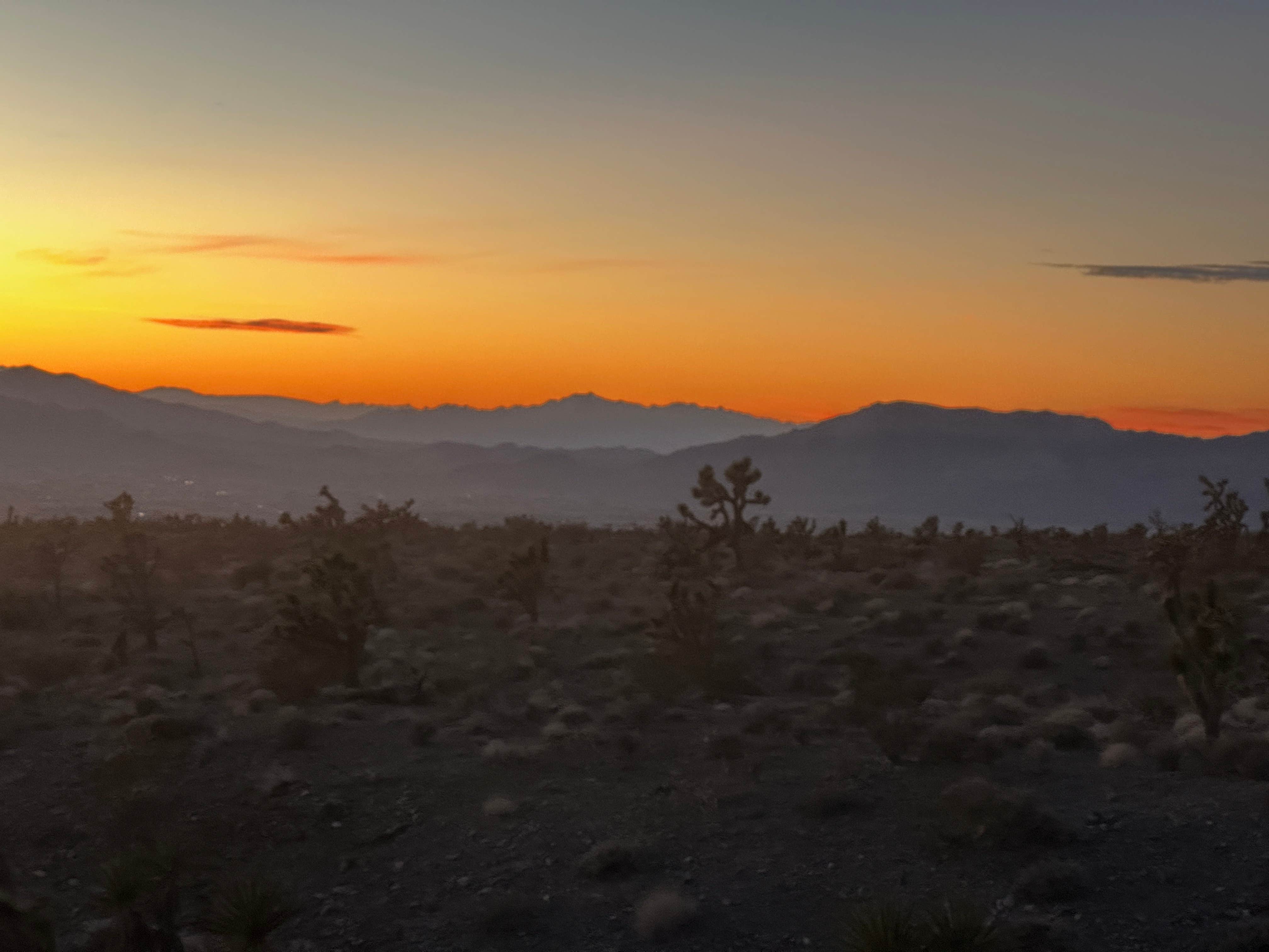 Camper-submitted photo at Wheeler Pass Road Dispersed near Mount Charleston, NV